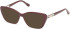 Guess GU50358 Ready-Made Reading Sunglasses