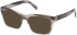 Guess GU50365 Ready-Made Reading Sunglasses