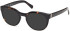 Guess GU50366 Ready-Made Reading Sunglasses
