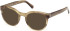 Guess GU50366 Ready-Made Reading Sunglasses