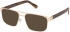 Guess GU50367 Ready-Made Reading Sunglasses