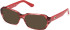Guess GU50380 Ready-Made Reading Sunglasses