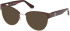 Guess GU50382 Ready-Made Reading Sunglasses