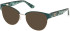 Guess GU50382 Ready-Made Reading Sunglasses