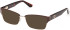 Guess GU50383 Ready-Made Reading Sunglasses