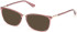 Guess GU50386 Ready-Made Reading Sunglasses