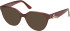 Guess GU50388 Ready-Made Reading Sunglasses