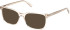 Guess GU50391 Ready-Made Reading Sunglasses
