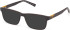 Timberland TB1797 Ready-Made Reading Sunglasses