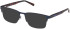Timberland TB1841-H Ready-Made Reading Sunglasses