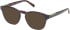 Timberland TB50003 Ready-Made Reading Sunglasses