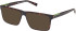 Timberland TB50004 Ready-Made Reading Sunglasses