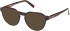 Timberland TB50032 Ready-Made Reading Sunglasses