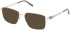 Timberland TB50068 Ready-Made Reading Sunglasses