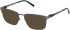 Timberland TB50070 Ready-Made Reading Sunglasses