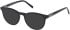 Timberland TB50071 Ready-Made Reading Sunglasses