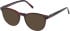 Timberland TB50071 Ready-Made Reading Sunglasses