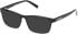 Timberland TB50077-H-54 Ready-Made Reading Sunglasses