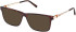 Timberland TB50080 Ready-Made Reading Sunglasses