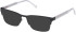 Timberland TB50083 Ready-Made Reading Sunglasses
