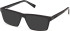 Timberland TB50091 Ready-Made Reading Sunglasses