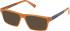 Timberland TB50091 Ready-Made Reading Sunglasses
