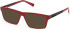 Timberland TB50091 Ready-Made Reading Sunglasses