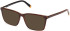 Timberland TB50095-H-55 Ready-Made Reading Sunglasses
