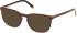 Timberland TB50096-H Ready-Made Reading Sunglasses