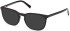 Timberland TB50096-H Ready-Made Reading Sunglasses
