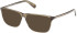 Timberland TB50098 Ready-Made Reading Sunglasses