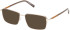 Timberland TB50115 Ready-Made Reading Sunglasses