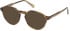 Gant GA50035 glasses in Light Green/Striped