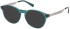 Gant GA50063 glasses in Shiny Dark Green