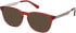 Gant GA50077 glasses in Shiny Bordeaux