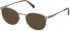 Gant GA50101 glasses in Matte Light Bronze