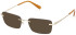 Gant GA50105 glasses in Shiny Pale Gold