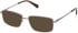 Gant GA50106 glasses in Shiny Dark Bronze