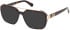 Guess GU50138 glasses in Dark Havana