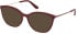 Guess GU50171 glasses in Shiny Bordeaux