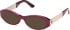 Guess GU50315 glasses in Shiny Violet