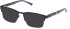Timberland TB1841-H glasses in Matte Blue
