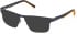Timberland TB50030 glasses in Matte Blue