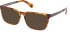 Timberland TB50086-H glasses in Havana/Havana
