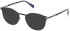 Gant GA50009 glasses in Shiny Blue