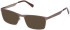 Gant GA50031 glasses in Matte Dark Bronze