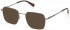 Gant GA50040 glasses in Shiny Dark Bronze