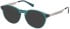 Gant GA50063 glasses in Shiny Dark Green