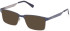 Gant GA50065 glasses in Blue/Monocolor