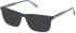 Gant GA50066 glasses in Shiny Blue